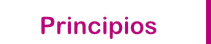 Ir a Principios